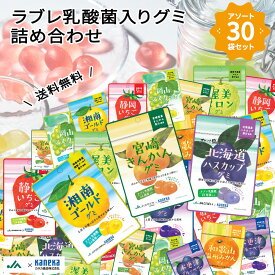グミ ラブレ乳酸菌入り ご当地 果実 アソート 30袋 セット カネカ食品 JA 全農 湘南ゴールド ブルーベリー メロン いちご みかん りんご マスカット ハスカップ きんかん 詰め合わせ 大容量 福袋 送料無料 ランキング入賞