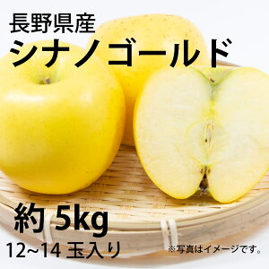 カネ吉/長野県産 シナノゴールド5kg(12〜14玉入り)【送料無料】