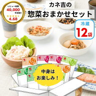 カネ吉の惣菜おまかせセット(12袋) おかず 時短
