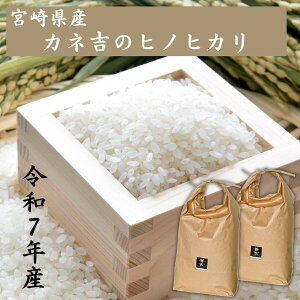 yVāzߘa7N{茧YqmqJ9kgi4.5kg×2܁j^Pꌴ