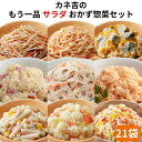カネ吉のもう一品【サラダ】おかず惣菜セット(21袋) おかず 時短