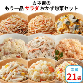 おかず 時短 ♪カネ吉のもう一品【サラダ】おかず惣菜セット(21袋)