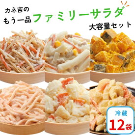 おかず 時短 カネ吉のもう一品【ファミリーサラダ惣菜大容量】セット(12袋)