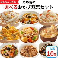 【まとめ買いキャンペーン対象商品】カネ吉の◆選べるおかず惣菜◆セット(10袋) おかず 時短