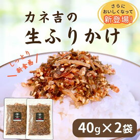 ふりかけ 1000円 ポッキリ ご飯のお供 ★カネ吉の生ふりかけ(40g×2袋)