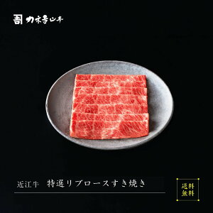 ߍ] Ă y{Oaz [ߍ] Iu[X]  lC JlgR{ Ԑg ꌧ r[ ]   A4 A5  Y a  Mtg Ԃ lΉ 