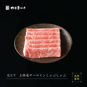 ߍ] Ԃ y{Oaz [IT[CԂ ]  lC JlgR{ A5  ~  ꌧ r[ ] p Mtg j Y a   