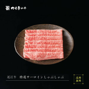 ߍ] Ԃ y{Oaz [IT[CԂ ]  lC JlgR{ A5  ~  ꌧ r[ ] p Mtg j Y a   