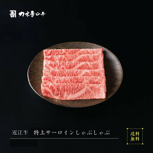 ߍ] Ԃ y{Oaz [T[CԂ ]  lC JlgR{ A5  ~  ꌧ r[ ] p Mtg j Y a   