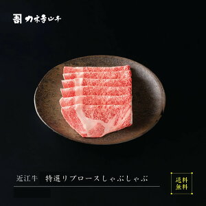 ߍ] Ԃ y{Oaz [Iu[XԂ ]  lC JlgR{ A5  ~  ꌧ r[ ] p Mtg j Y a   