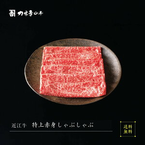 ߍ] Ԃ y{Oaz [ԐgԂ ]  lC JlgR{ A5  ~  ꌧ r[ ] p Mtg j Y a   Ԃ