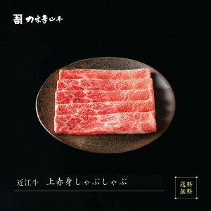 ߍ] Ԃ y{Oaz [ԐgԂ ]  lC JlgR{ A5  ~  ꌧ r[ ] p Mtg j Y a   Ԃ