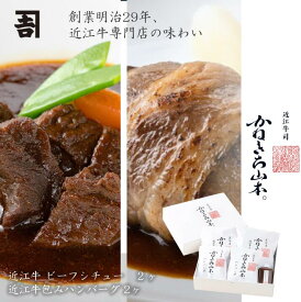 和牛 近江牛 ビーフシチュー2個＆包みハンバーグ2個セット デミグラスソース付 お中元 人気 冷凍 簡単調理 和牛 国産牛 惣菜 グルメ ギフト 贈答用 熨斗対応 お中元 結婚祝い 内祝い レビュー高評価 人気 カネ吉山本 滋賀県 かねきち山本 お歳暮 おせち