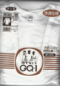 ᏈiE60OFFE󂠂iyyVszO[@GQ-1@100GQ3010UVc