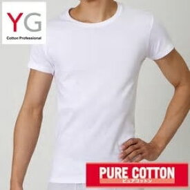 【楽天市場】グンゼ　紳士肌着YGワイジー　クルーネック（丸首）Tシャツ　フライス織りYV0013　M / L / LL / 3L