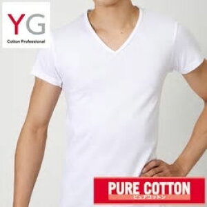 �y�y�V�s��z�O���[�@�a�m�����@YGV�l�b�NT�V���c�@�t���C�X�D��YV0015�@YVP015A M / L / LL / 3L�y�u���[���ցv1��250�~�ɂ́A1���̂ݓ���܂��z