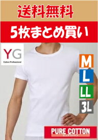 ≪お買い得・5枚セット≫【楽天市場】グンゼ　YGCOTTON　綿100%　 VネックTシャツ　GUNZE　M/L/LL/3L　YV0013v