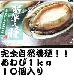 【大人気】冷凍（生食用）あわび1kg（10個入り）（片貝付き）【オーストラリア産完全自然養殖】/訳あり/メガ盛り【RCP】/お中元/02P01Oct16