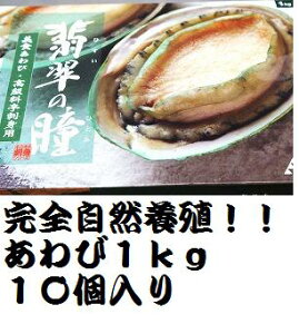 ylCzⓀiHpj1kgi10jiЊLtjyI[XgAYSR{Bz/󂠂/KyRCPz//02P01Oct16