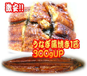 中国産 うなぎの通販 価格比較 価格 Com 中国産 うなぎの通販 価格比較 価格 Com
