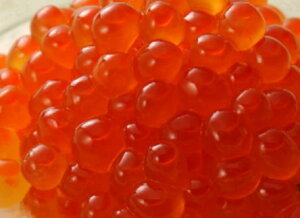 2024NV@kCY 1kg   蕨 󂠂 K Ε }AX