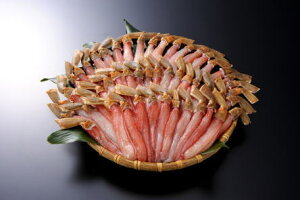 HpԂԗpⓀYCJj|[V500g21kgiނgjiϔȂj/󂠂/K/