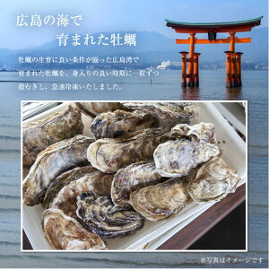 【送料無料】広島産かき2kg(解凍後1700g)Mサイズ(90〜110粒前後)【広島産牡蠣/お徳用】