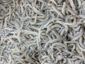 かまあげしらす　1kg×2個で2kg　新物　送料無料　国産