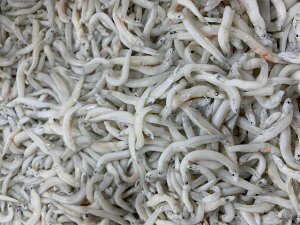 ܂炷@1kg×22kg@V@@Y