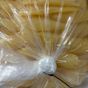 2025�N�V���@���̎q�@5kg�@����T�C�Y�@��t���@�����Ђ��@ �󂠂� ���K����