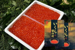 2024NV@ݖЂ500g×21kg  kCY }^cY  蕨 󂠂 K󂠂  ̓@Ε