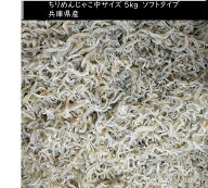 緊急特売　ちりめんじゃこ 5kg 兵庫県淡路産 中サイズ　送料無料 ソフトタイプ