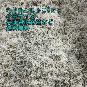 ߂񂶂Ⴑ@5kg ɌWHY@Y@̑Y@TCY@\tg^Cv