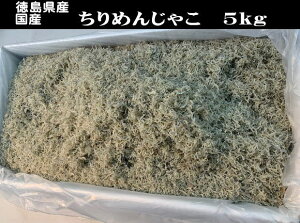 ߂񂶂Ⴑ@5kg ɌWHY@Y@̑Y@TCY@\tg^Cv