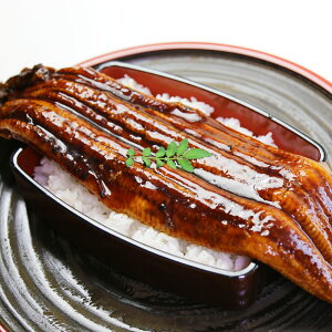 y̔z傤Ȃ1CiYj250gȏ Ɩp  yRCPz//̓/02P06Aug16