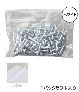 IŒp ^bsOyCzWT-P TCY:ۓrX3.5×16mm (50{1܂ł̔̔i)