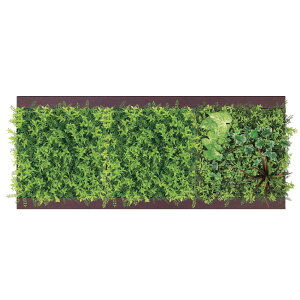 AڃO[ xN O[[h BELK GM1723 45p3A A~oރubNA}CgdE12mmMDFؖڃV[g\  1Zbg[[J[i/kCEE͂s]