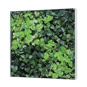 �E�H�[���O���[�� �x���N �O���[�����[�h BELK GR3116 �A���~���o�ރV���o�[�A���}�C�g�d�� 3mm�����A�N�����E4mm�x�j�����\��E3mm�v���_�� ���� 1��[���[�J�[�����i/�k�C���E����E�������͂�