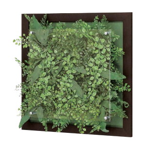 �E�H�[���O���[�� �x���N �O���[�����[�h BELK GR3345 �A���~���o�ޖؖڃV�[�g�\��d�グ 3mm�����A�N�����E5.5mm�x�j���V�[�g�\�� ���� 1��[���[�J�[�����i/�k�C���E����E�������͂��s��]