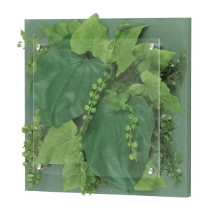 O[ xN O[[h BELK GR3414 ؃plV[g\ 2mmAN  1[[J[i/kCEE͂s]