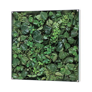 EH[O[ xN O[[h BELK GR3561 A~oރVo[A}Cgd 3mmANE3mmMDF\E5mmv_  1[[J[i/kCEE͂s]