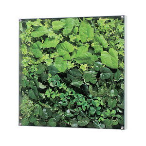 �E�H�[���O���[�� �x���N �O���[�����[�h BELK GR3563 �A���~���o�ރV���o�[�A���}�C�g�d�� 3mm�����A�N�����E3mmMDF���\��E5mm�v���_�� ���� 1��[���[�J�[�����i/�k�C���E����E�������͂��s��]