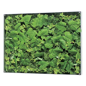 EH[O[ xN O[[h BELK GR3565 A~oރVo[A}Cgd 3mmANE3mmMDF\E5mmv_  1[[J[i/kCEE͂s]