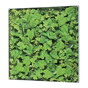 �E�H�[���O���[�� �x���N �O���[�����[�h BELK GR3568 �A���~���o�ރV���o�[�A���}�C�g�d�� 3mm�����A�N�����E3mmMDF���\��E5mm�v���_�� ���� 1��[���[�J�[�����i/�k�C���E����E�������͂��s��]