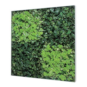 �E�H�[���O���[�� �x���N �O���[�����[�h BELK GR3572 �A���~���o�ރV���o�[�A���}�C�g�d�� 3mm�����A�N�����E4mm�x�j�����\��E3mm�v���_�� ���� 1��[���[�J�[�����i/�k�C���E����E�������͂�