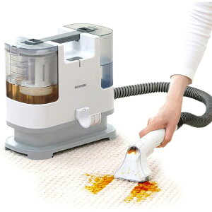 T[N[i[ ACXI[} RNS-P10-Wyԕisz