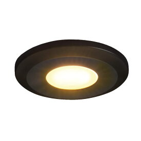 LEDスリムライト SL-RS2-100型 スガツネ SL-RS2-100-WLBL LAMP ブラック 1個「スガツネ製品ならカネマサ」