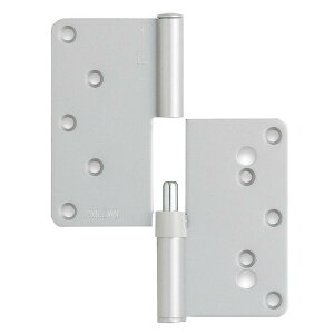 @\t N17^6R Ag ATOM 095923  Vo[h 1 yԕisz