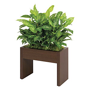 �x���N �O���[�����[�h �O���[���X�^���h �p�[�e�[�V���� �{�b�N�X�p�[�e�[�V���� GR2218 �{��:�؎��{�[�h�ؖړ\ ����:���� �x�j���\ �n�b�|�[ W×H×D�F600×1000×300mm 11.4kg