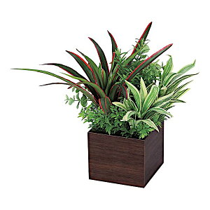 �x���N �O���[�����[�h �O���[���|�b�g ���|�b�g GR4385 �{��:�����ؖړ]�ʁ@����:���� �x�j���\�E�n�b�|�[ W×H×D�F250×250×250mm 0.3kg